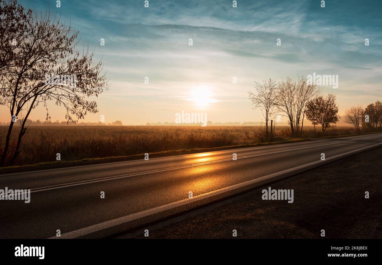 La route au lever du soleil. Brumeux tôt le matin. Silhouettes d'arbres. Champ avec grain et brouillard en arrière-plan Banque D'Images