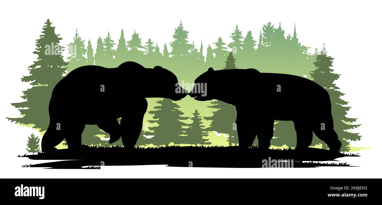 Porter mâle et femelle. Animaux sauvages. Silhouette. Glade dans la taïga de forêt de conifères du nord. Isolé sur fond blanc. Vecteur. Illustration de Vecteur