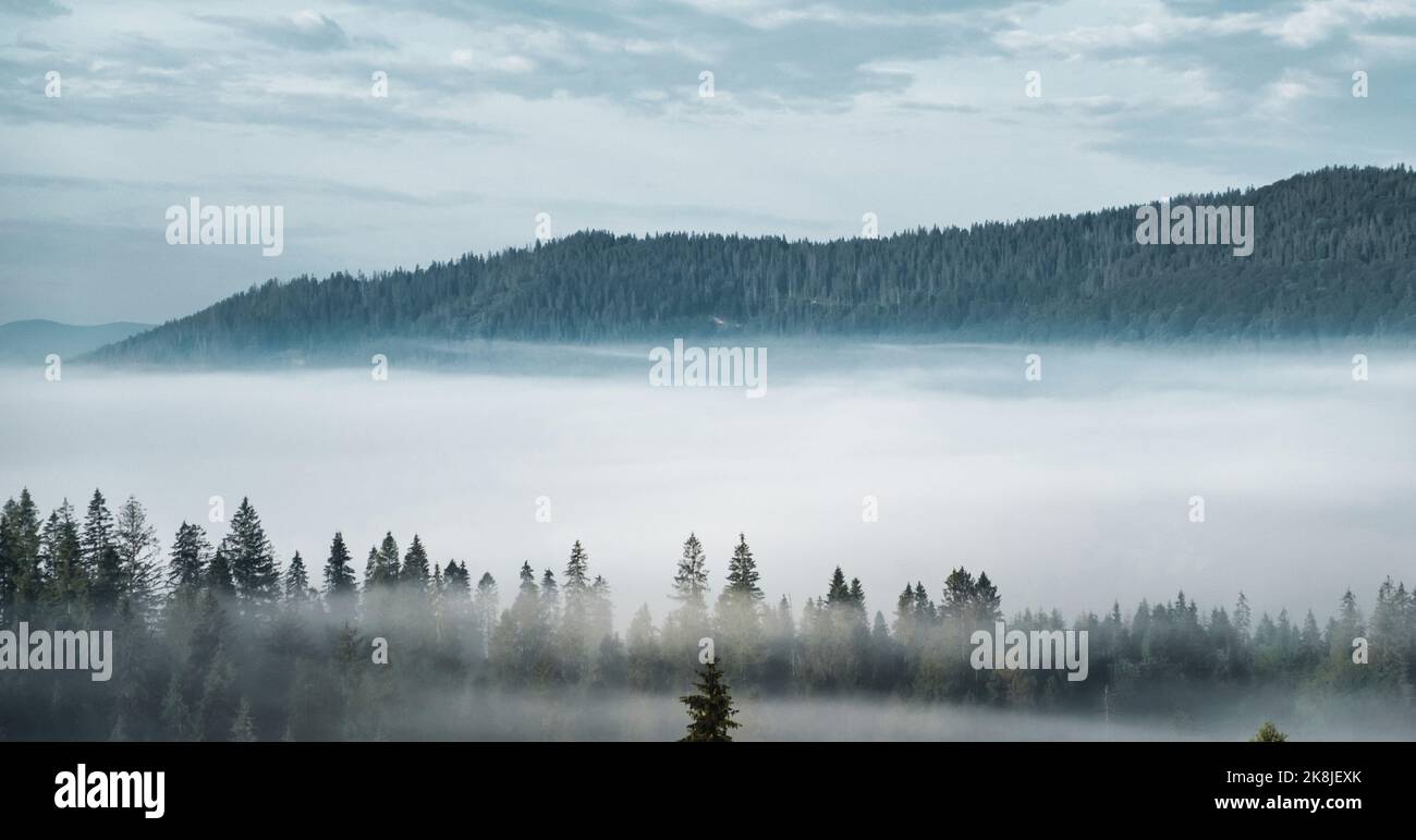 Vue panoramique sur des montagnes en forêt brumeuse.'horizon. Banque D'Images