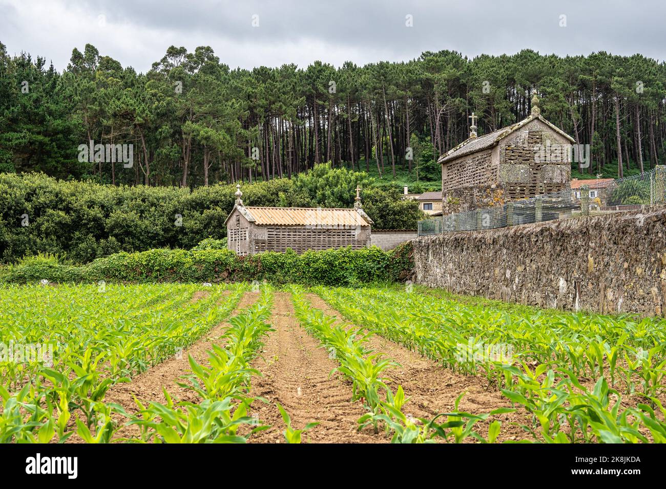 Magnifique village de Vigo en Galice, Espagne, unique pour ses horreos, graniers traditionnels Banque D'Images