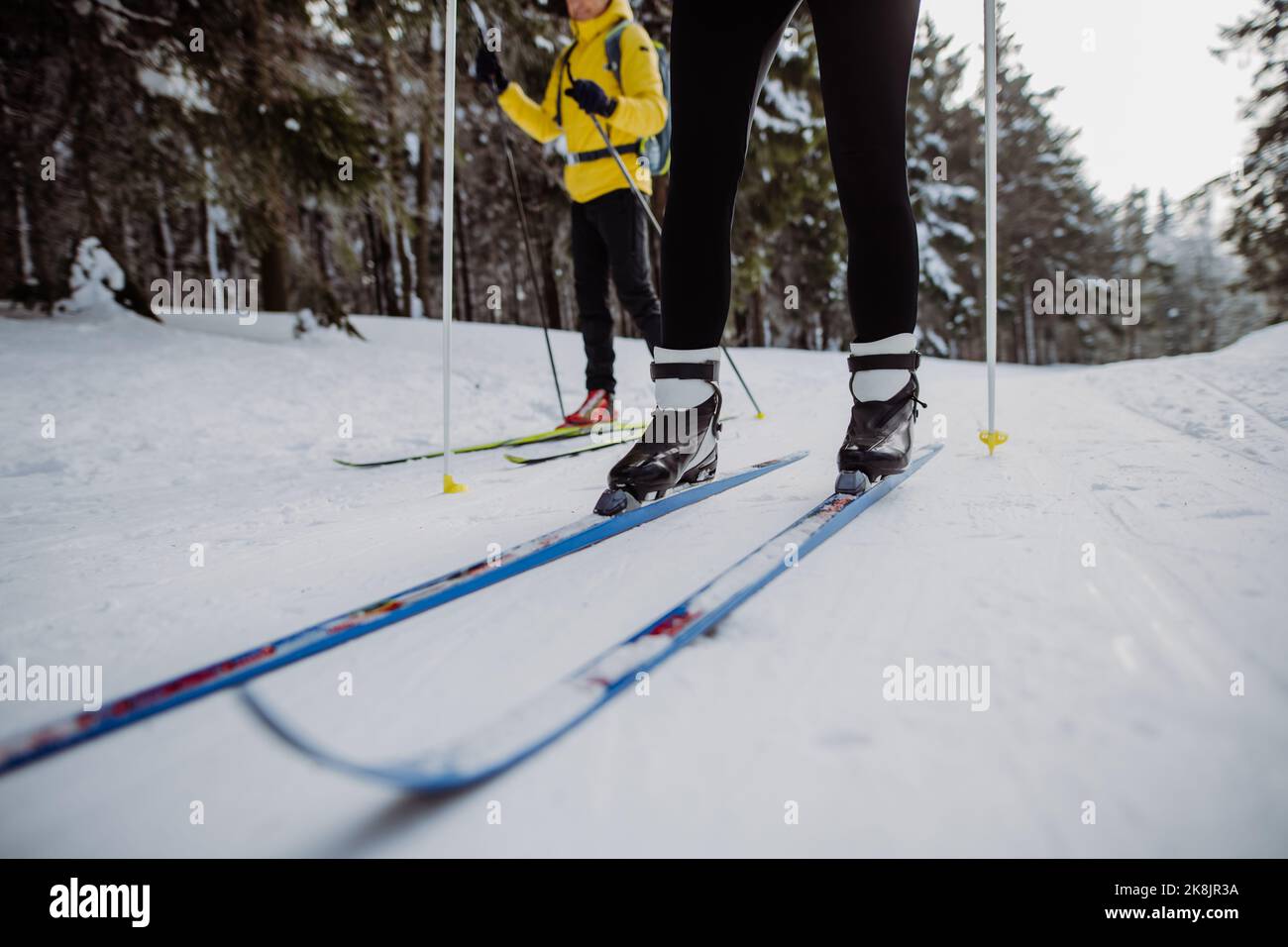 Section basse et gros plan des skieurs faisant du ski de fond de croos au milieu de la forêt. Banque D'Images