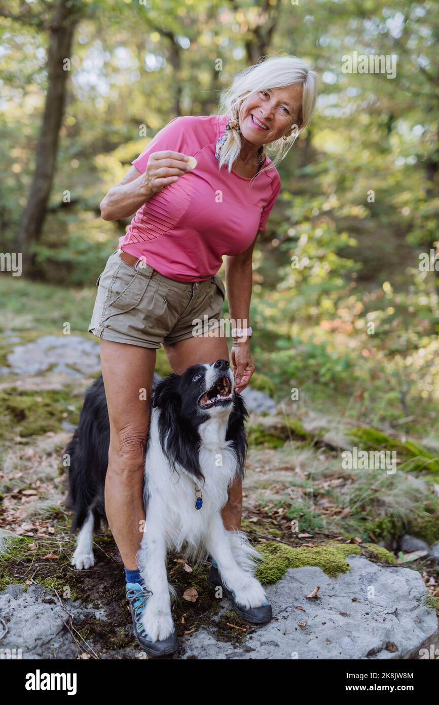 Femme âgée formant son chien pendant une promenade dans la forêt. Banque D'Images