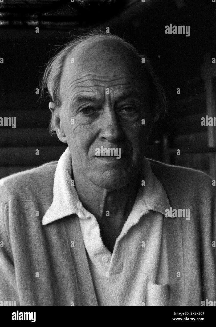 Oslo 19850830 Roald Dahl, auteur britannique. Photo: Inge Gjellesvik / NTB / NTB Banque D'Images