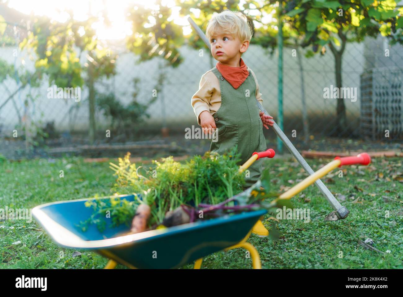 illustration mignonne avec brouette et outils de jardin. prendre