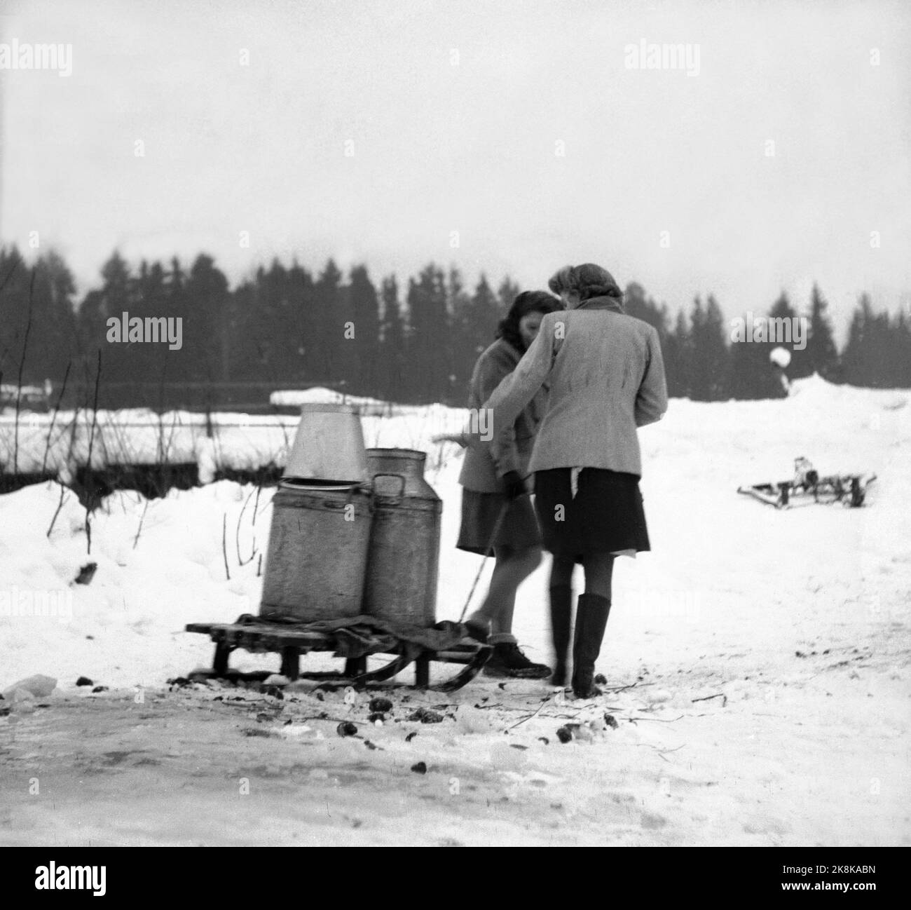 Hedmark à l'hiver 1948. Pénuries d'eau dans l'est de la Norvège après la sécheresse de l'été 1947. Les fermes doivent aller chercher de l'eau dans les rivières ou s'assurer que l'eau coule des laiteries. Ici les sœurs Gerd et Ragnhild Eriksen qui tirent l'eau de la rivière sur un traîneau jusqu'à la maison. Il ne s'agit que de cinq minutes, donc ils ne pensent pas qu'il y a quelque chose à parler! Photo: Børretzen / courant / NTB Banque D'Images