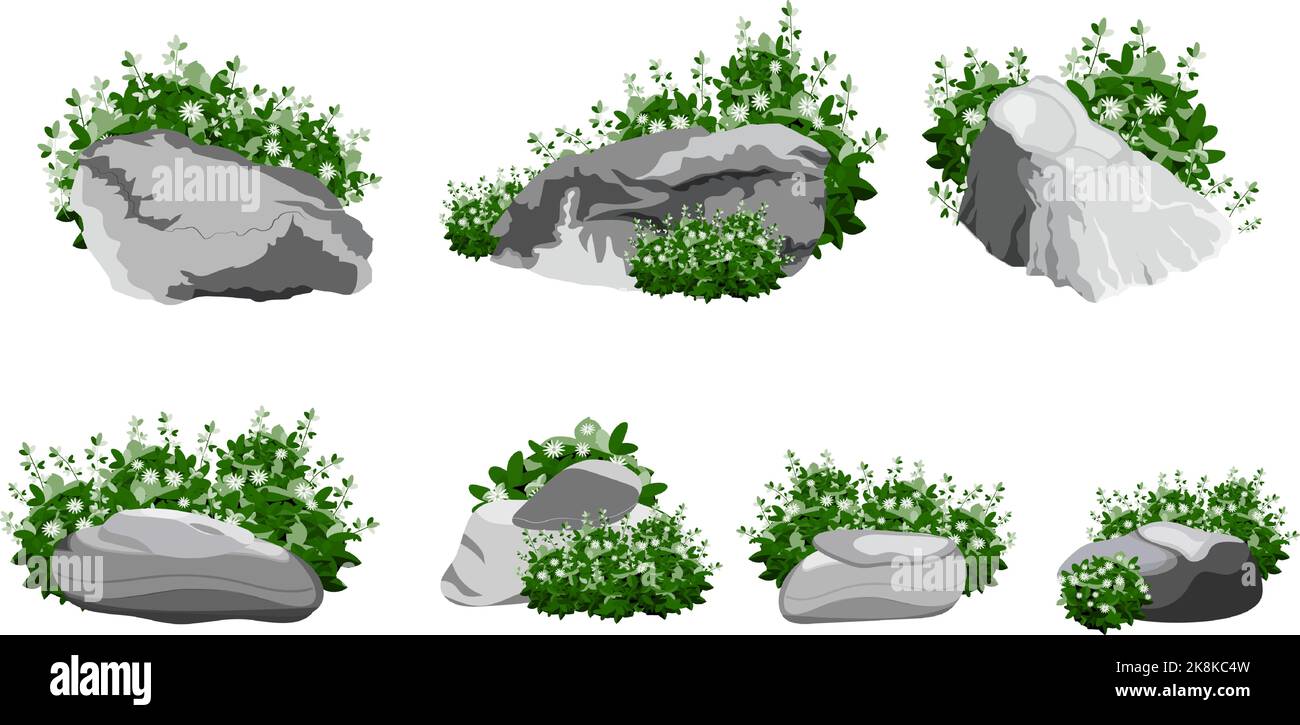 Galets côtiers,pavés,gravier,minéraux et formations géologiques.Collection de pierres de formes et de plantes diverses.fragments de roches,rochers et b Illustration de Vecteur