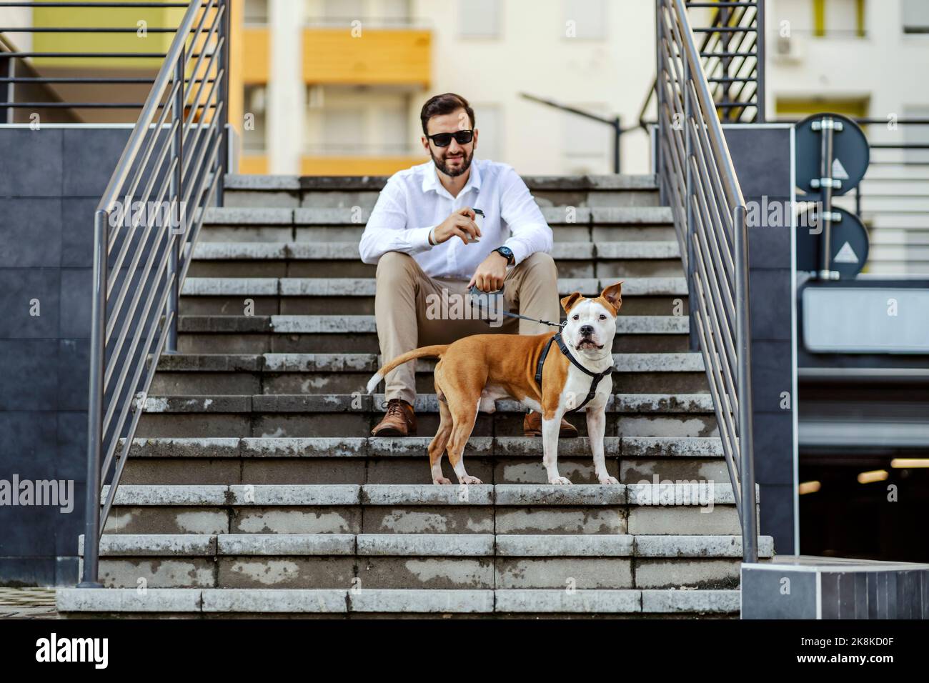 Un homme d'affaires heureux habillé élégant décontracté assis sur les escaliers, tenant son chien sur une laisse et de boire du café. Après une journée bien remplie, il peut se détendre avec le salut Banque D'Images
