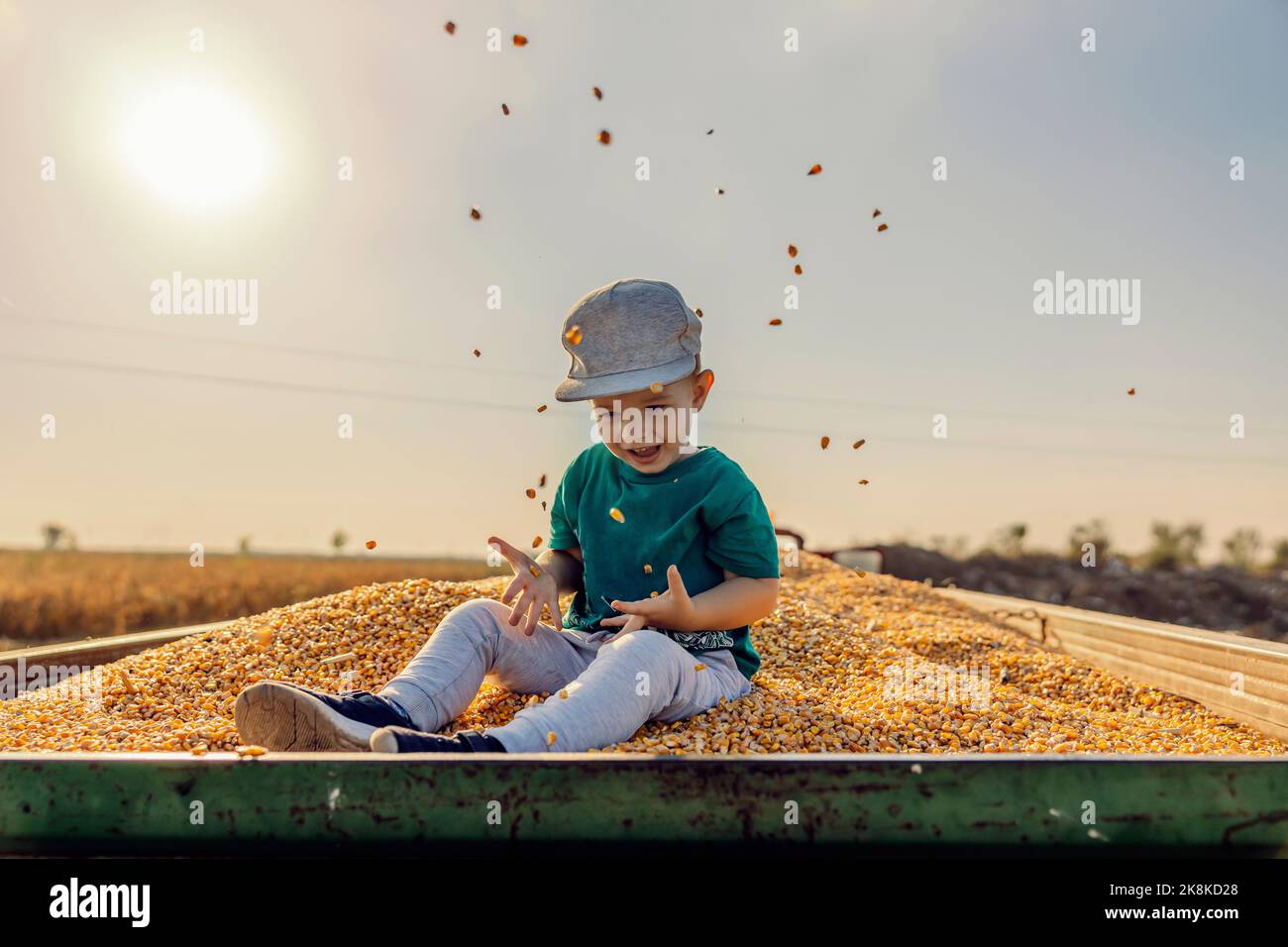 Un petit garçon de fermier excité est assis dans une remorque de tracteur pleine de grains de maïs et de lancer des grains dans l'air. Le petit assistant est assis sur le dur de maïs Banque D'Images