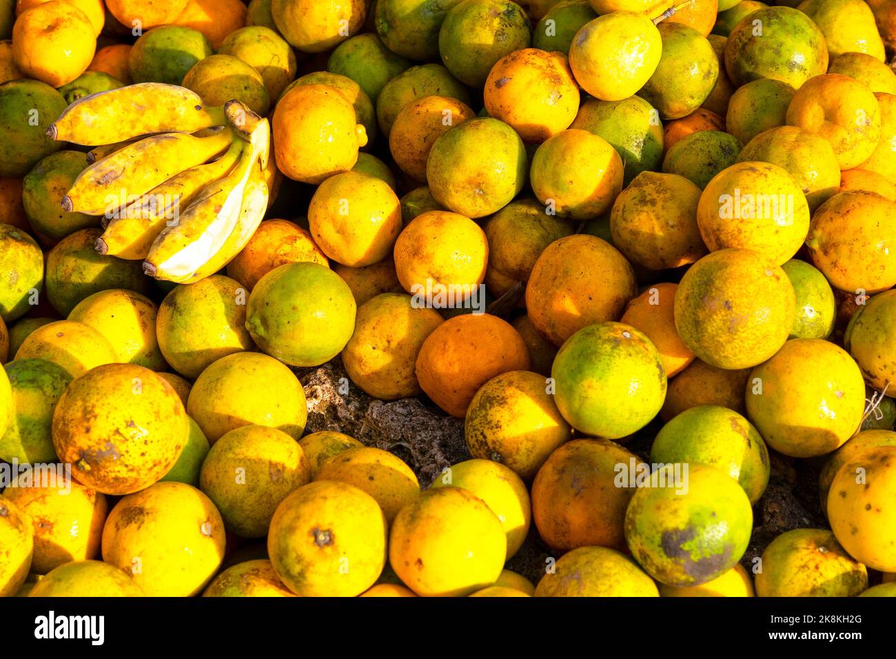 Assortiment de fruits tropicaux en vente sur route, Zanzibar, Tanzanie, Afrique Banque D'Images