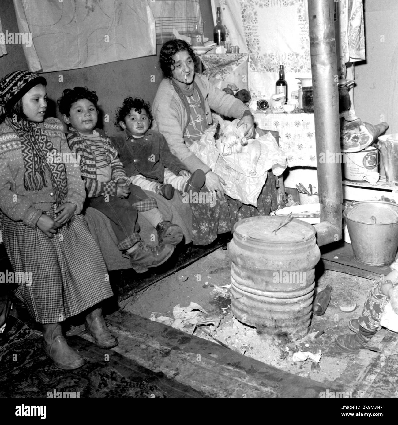 23 décembre 1955. Oslo. Nordre Åsen. Tziganes dans des tentes. Cœur - scènes de coupe petit réveillon de Noël. Des gens d'Oslo, assistés par la police, ont emmené les six enfants à Franz et Marie Josef Czardas. Voici une grand-mère en plein swing de côtes une oie allant sur la table le premier jour de Noël avec ses petits-enfants dans leur tente sur Nordre Åsen à Oslo. Photo: Aage Storløkken / actuel / NTB Banque D'Images