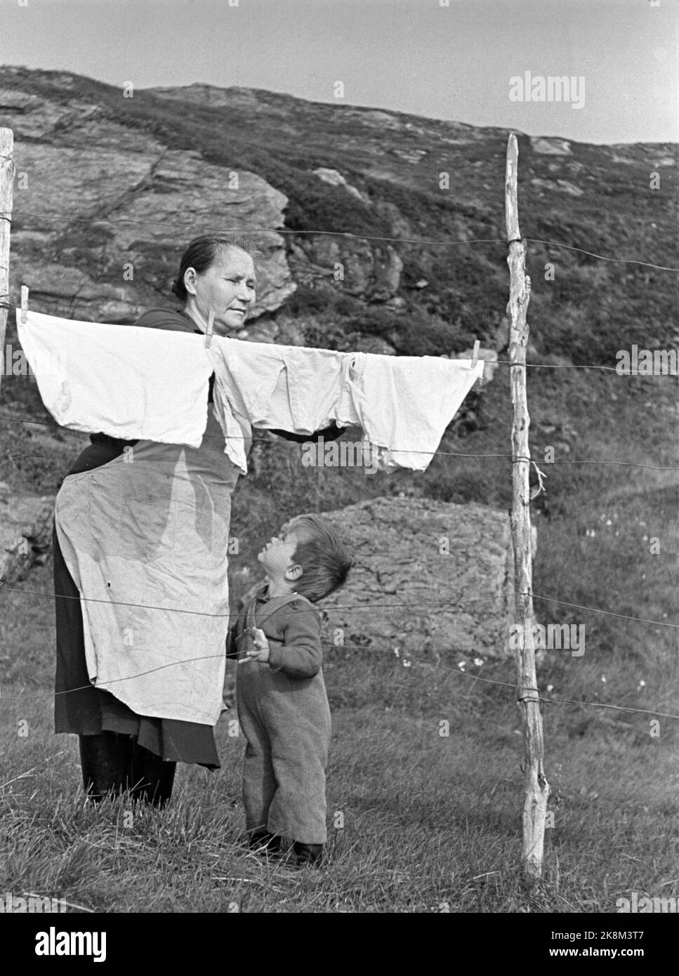 Sørøya dans le Finnmark au printemps de 1947, la plupart de la population de Sørøya était sur 15 février 1945, évacué en Écosse par British / Allied Marine, après avoir vécu dans des casernes et des grottes de montagne sur la course des Allemands. Aujourd'hui, la population de Sørøya est aux prises avec la reprise. Inger Gimsøy, 63 ans, sèche des vêtements sur une clôture. Le fils de la fille est né au milieu de la mer du Nord, sur son chemin vers l'Écosse. Photo : Th. Scotaam / courant / NTB. Banque D'Images