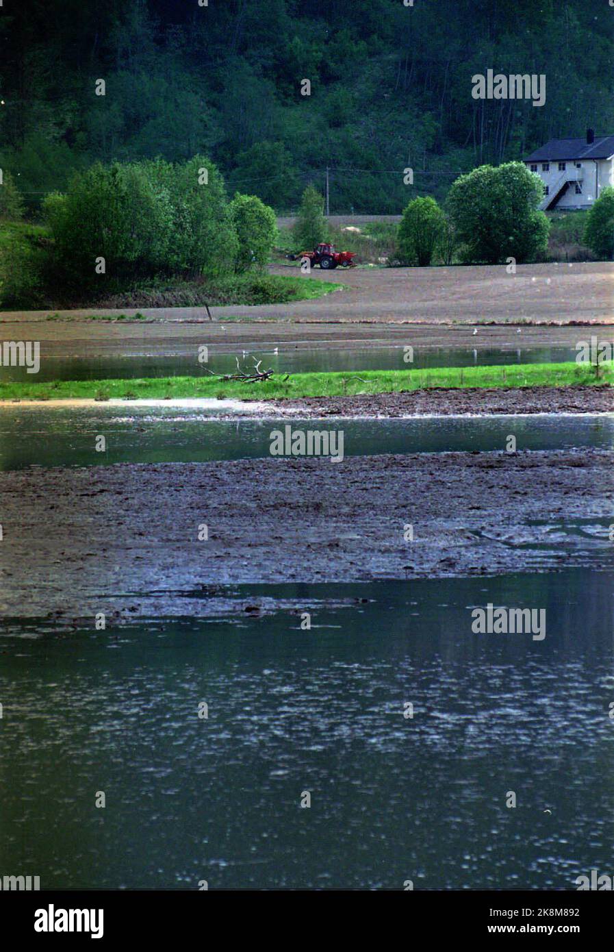 1995-05-30: Catastrophe d'inondation dans l'est de la Norvège et à Trøndelag. En raison de la fonte des neiges et de la pluie, l'est de la Norvège est touché par les inondations et les inondations. Ici de Trøndelag: La rivière Gaula à Trøndelag a traversé ses berges et a posé de grandes zones cultivées sous l'eau. Catastrophe des inondations 1995. Photo: Gorm Kallestad / NTB / NTB Banque D'Images
