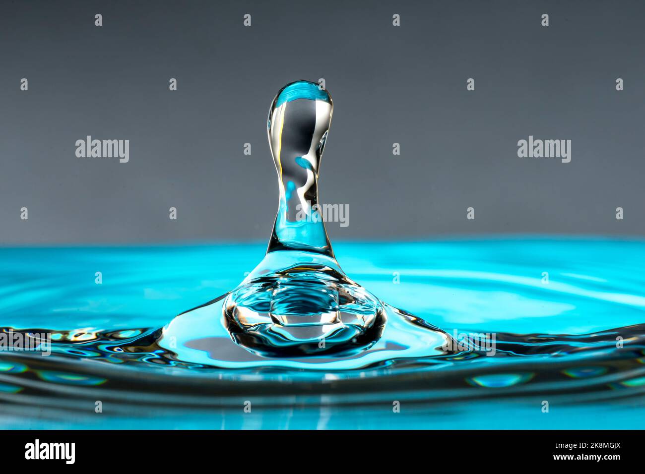 Gouttes d'eau isolées sur fond gris. Banque D'Images