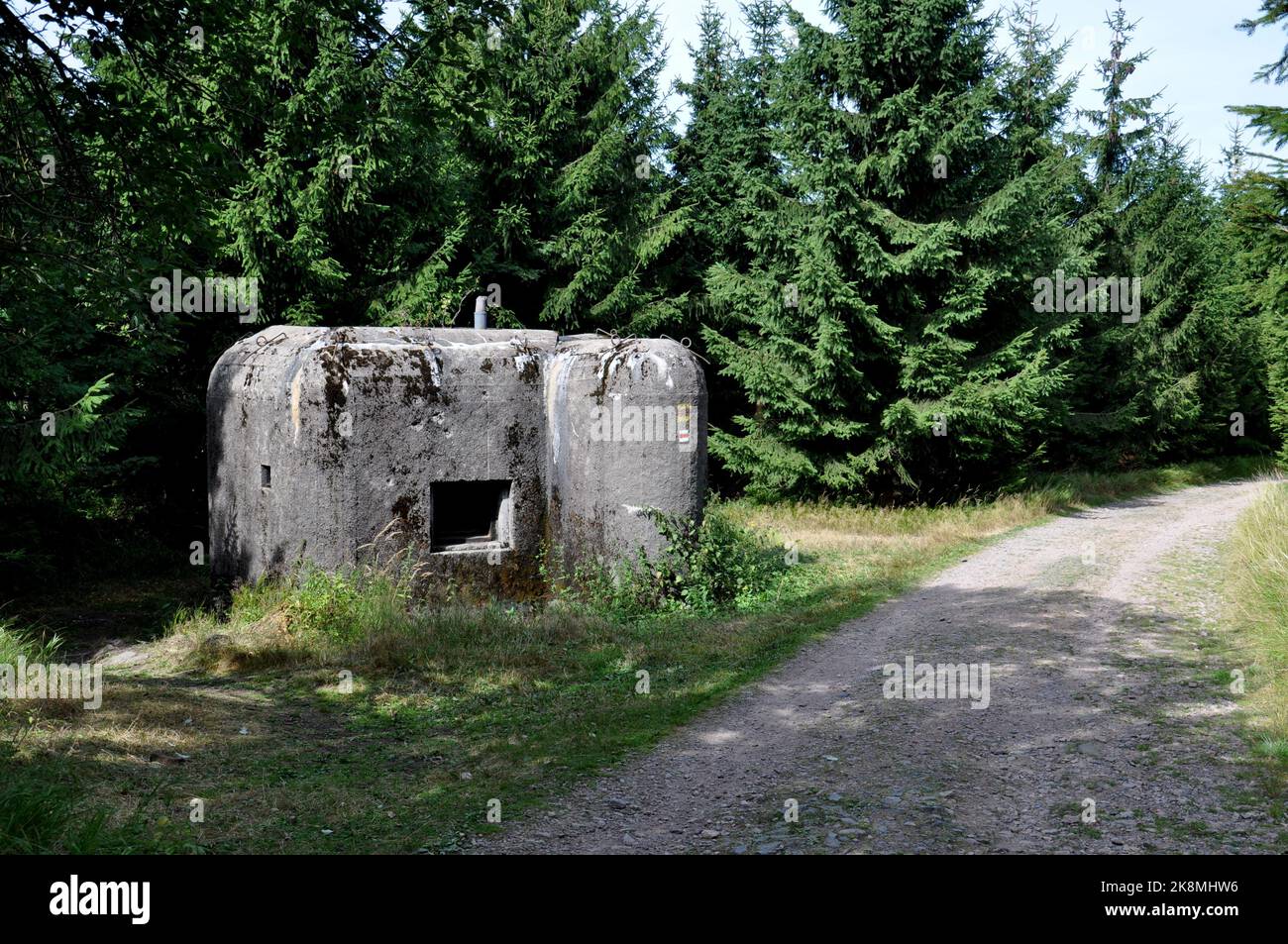 Fortifications en béton dans l'orée d'Orlicke 2015. République Tchèque (CTK photo/Rostislav Kalousek) Banque D'Images