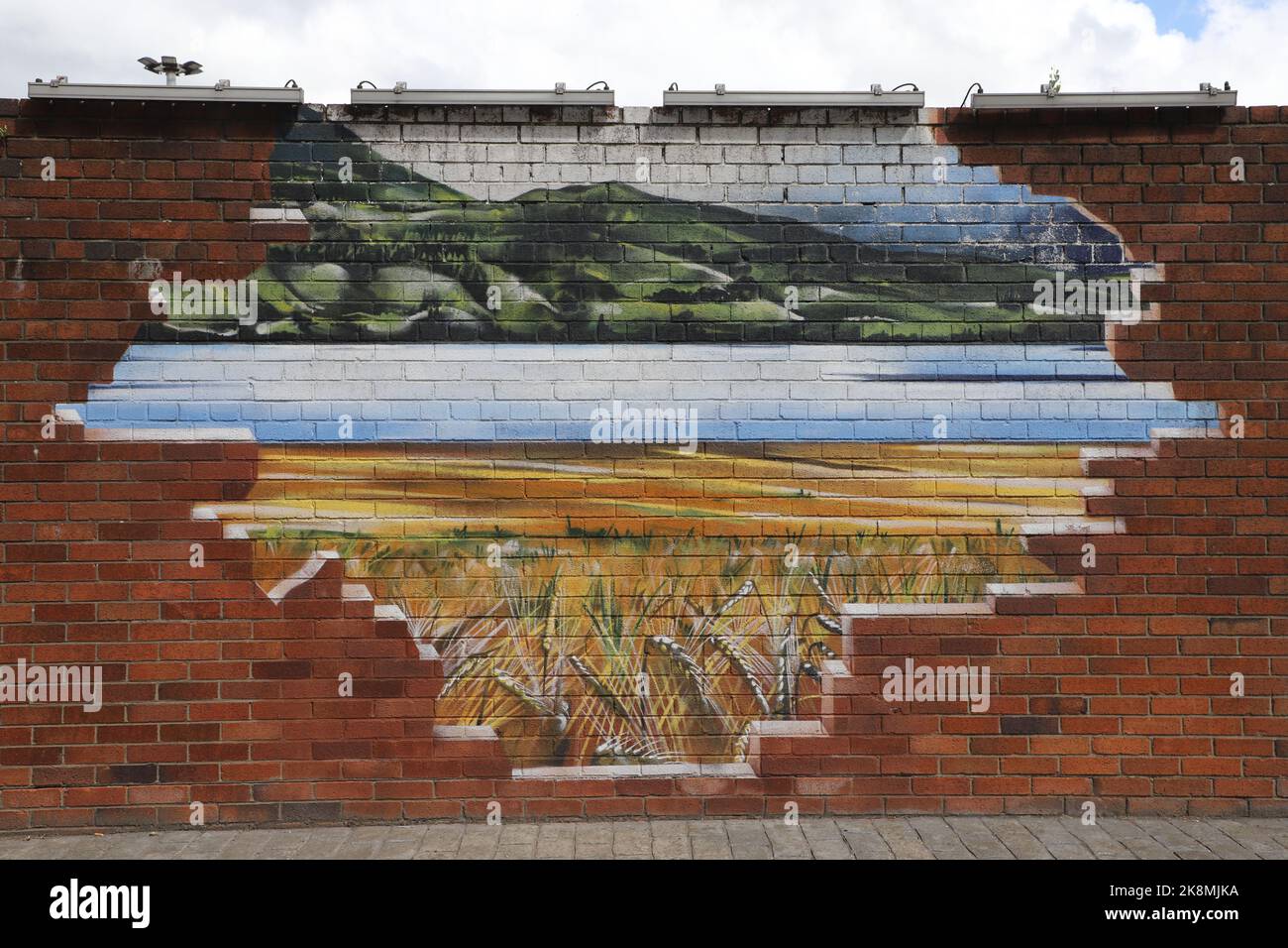 Section de la murale Tennents sur le mur extérieur des brasseries Tennent Caledonian par Smug (Sam Bates) Glasgow Écosse juillet 2022 Banque D'Images