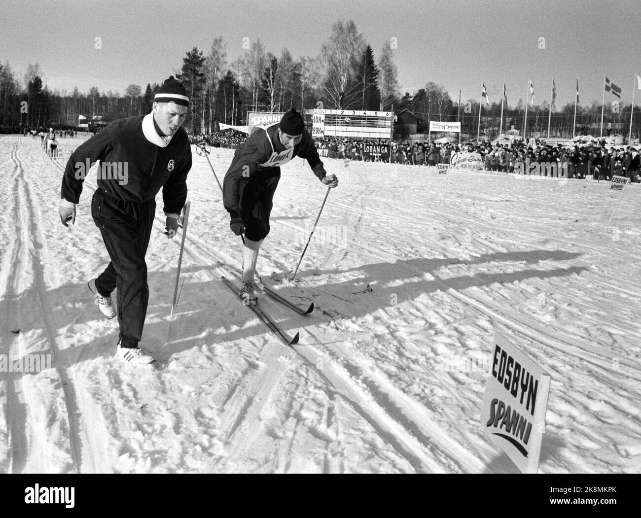Falun, Suède. 18 février 1961. Le Skidspelen suédois à Falun. Les skis de Harald Grønning étaient sans espoir dans le bâton. Il s'est porté tout le sentier, mais Østbye, qui va alterner avec lui, court plus vite sur ses jambes que le vert sur les skis. Photo: Ivar Aaserud / courant / NTB Banque D'Images