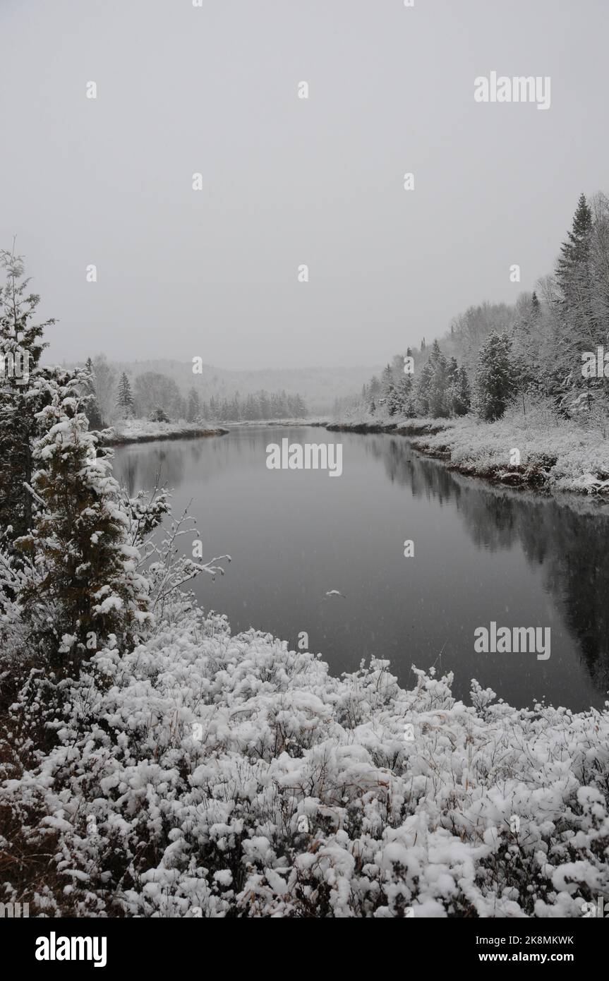 Paysage d'hiver avec sa couverture blanche sur les arbres, les catadiopes, la rivière avec un ciel gris avec un sentiment de tranquillité. Photo verticale. Banque D'Images