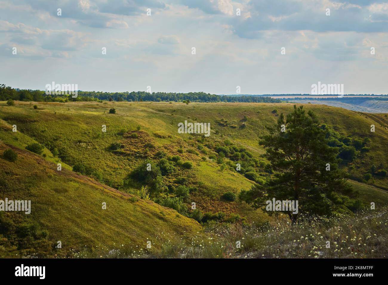 Montagne de craie par une journée ensoleillée, zone protégée près de Svyatogorsk, Ukraine. Banque D'Images