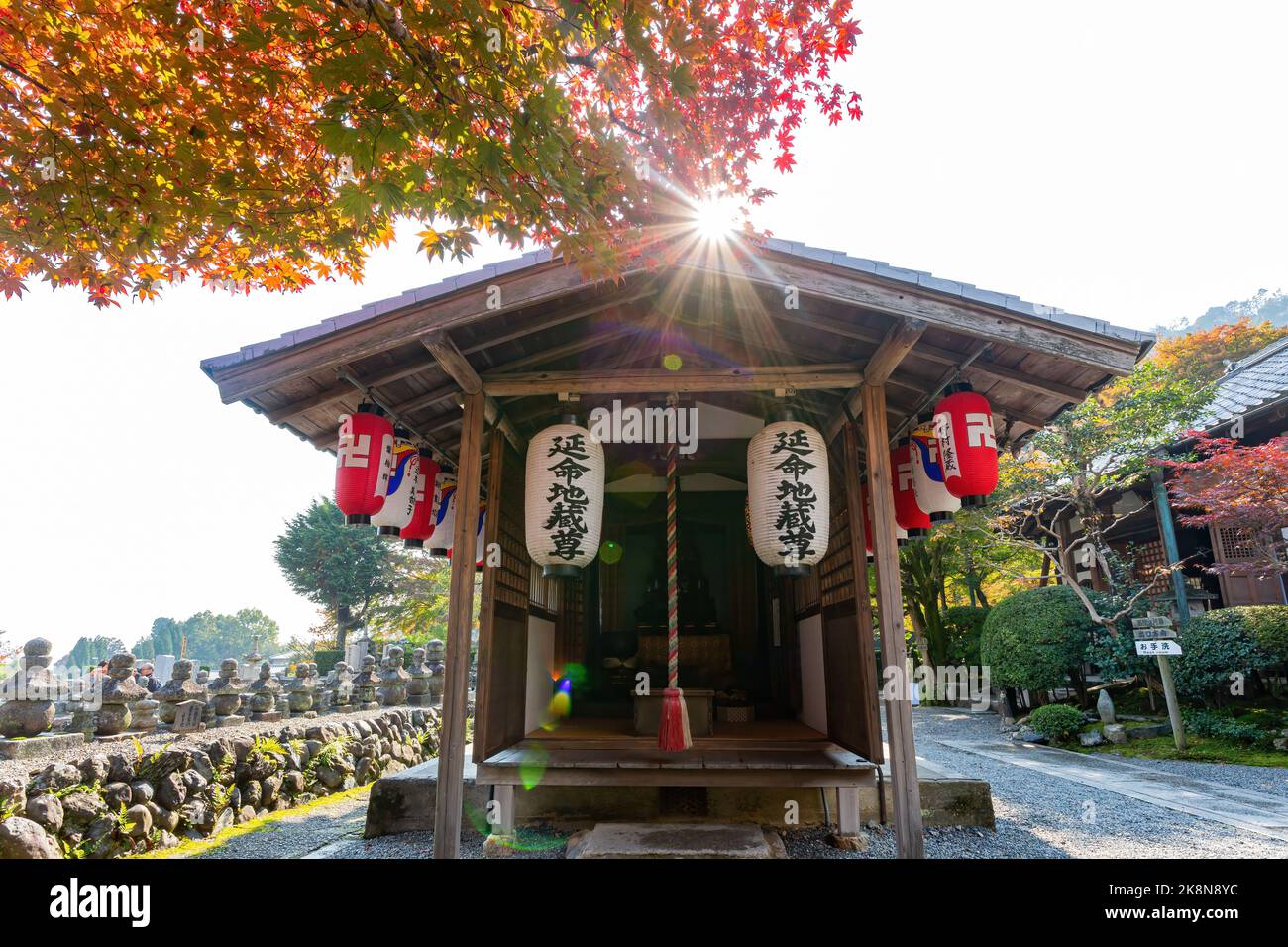 Kyoto, 16 2013 NOVEMBRE - Ensoleillé paysage d'automne à Adashino Nenbutsu Ji Banque D'Images