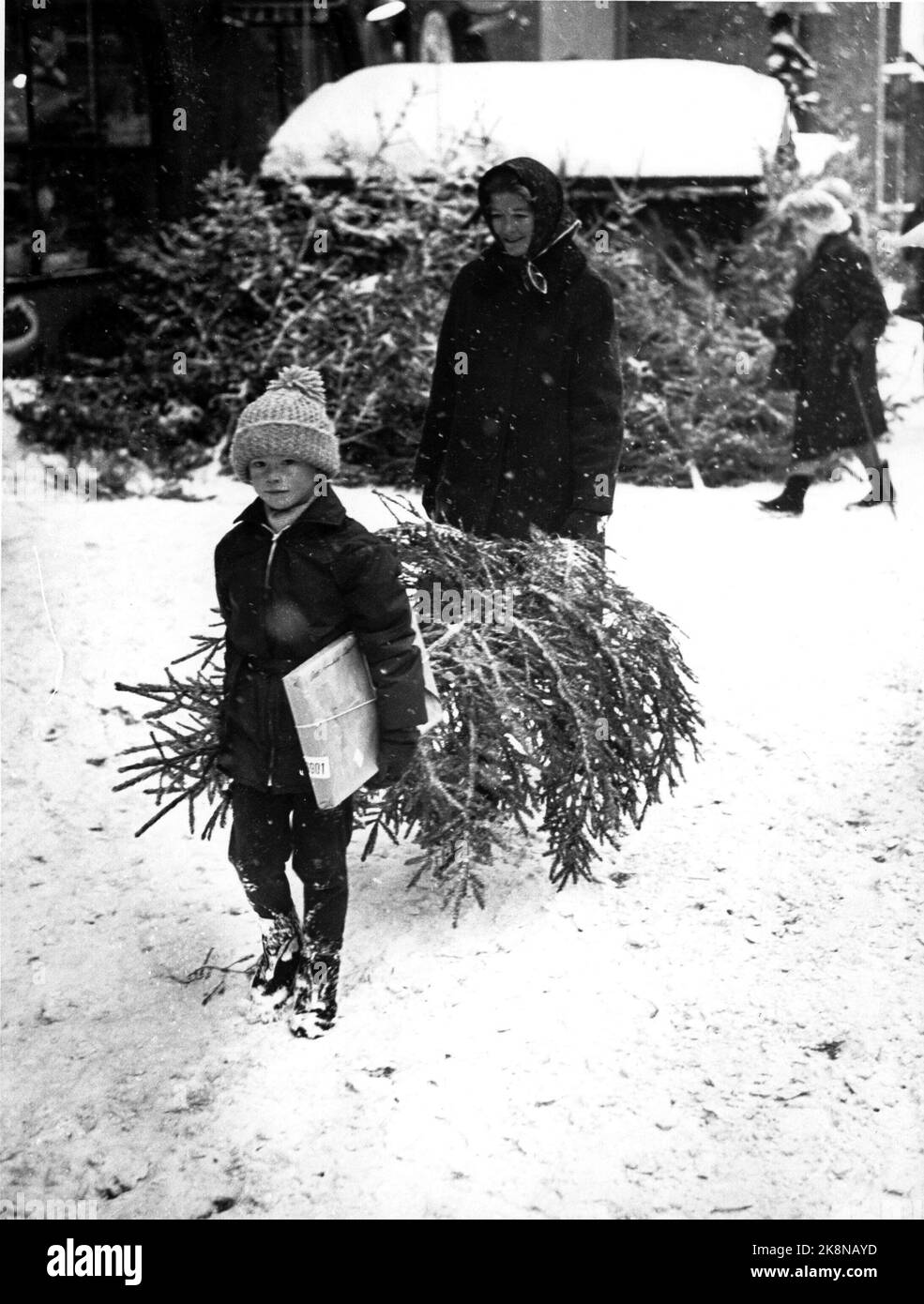 1967-12 achats d'arbres de Noël. Garçon avec forfait et arbre de Noël. Noël. Photo: Archive NTB Banque D'Images