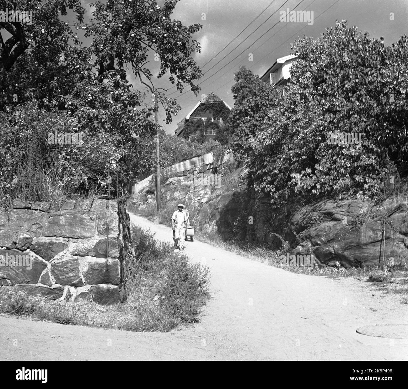 Drøbak 19470902 la sécheresse été 1947 à Drøbak. Homme sur son chemin en bas d'une colline raide dans le soleil brûlant. PHOTO: LYNAU / NTB / NTB Banque D'Images