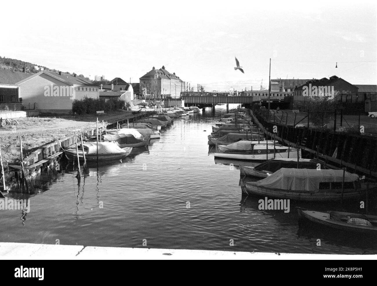 Oslo à l'été 1962. Une promenade le long de l'Akerselva de OS à OS. Ici, la rivière est presque au bout de la route - elle flotte sous le pont ferroviaire et dans le fjord. Photo: Aage Storløkken / actuel / NTB. Banque D'Images