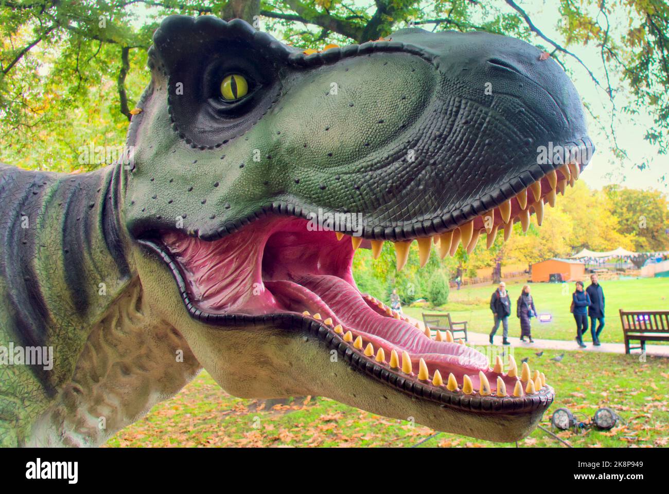 Glasgow, Écosse, Royaume-Uni 24th octobre 2022. Les jardins botaniques de Glasgow Botanic Gardens dans l'extrémité ouest ont vu des dinosaures apparaître devant Glassglow qui s'ouvre au public mercredi. Le parc avec son serre est transformé en Jurassic Park la terre que le temps a oublié pour l'événement. Crédit Gerard Ferry/Alay Live News Banque D'Images