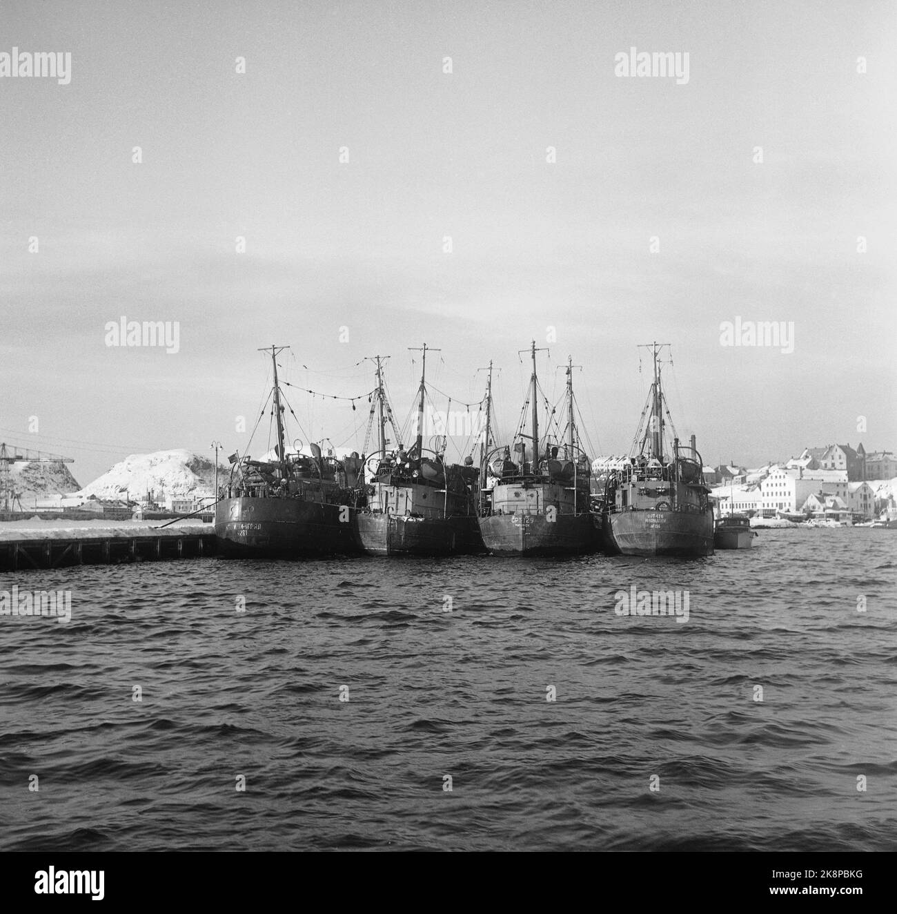 Ålesund 1 février 1956. 13 chalutiers russes et un navire-mère ont été amenés par la Garde côtière norvégienne et amenés à Ålesund après qu'ils et plusieurs autres navires russes aient eu des voleurs dans le secteur norvégien. La Garde côtière a dû tirer des coups de feu avant que les Russes ne soient arrêtés. La Norvège a adressé de vives protestations à l'Union soviétique et le ministre des Affaires étrangères Lange a convoqué l'ambassadeur soviétique à Oslo pour souligner que les autorités norvégiennes considéraient cela comme une violation flagrante des eaux norvégiennes. Voici quelques-uns des chalutiers. Photo: Actuel / NTB Banque D'Images