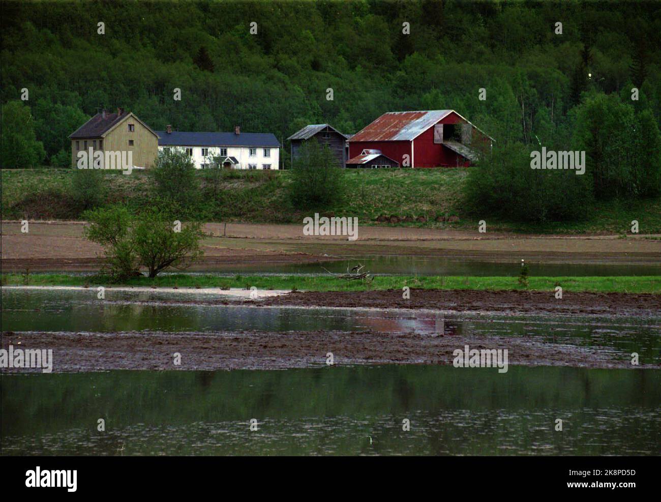 1995-05-30 catastrophe d'inondation dans l'est de la Norvège et de Trøndelag. En raison de la fonte des neiges et de la pluie, l'est de la Norvège est touché par les inondations et les inondations. Ici de Trøndelag: La rivière Gaula a traversé ses berges et a posé de grandes zones cultivées sous l'eau. Catastrophe des inondations 1995. Photo: Gorm Kallestad / NTB Banque D'Images