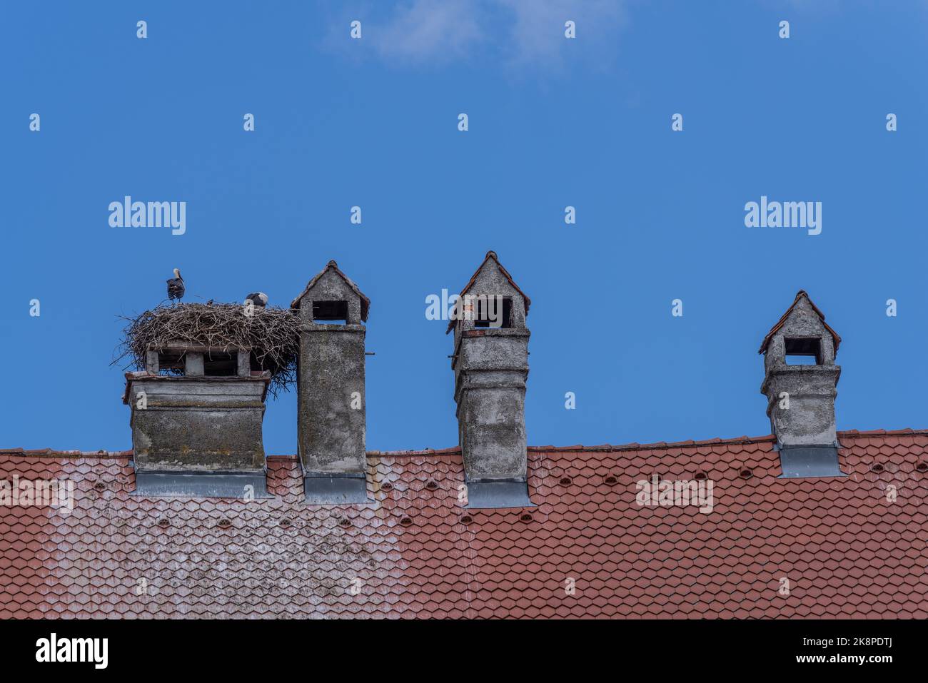 Un nid de deux cigognes isolé sur la cheminée d'un ancien bâtiment sous le ciel clair Banque D'Images