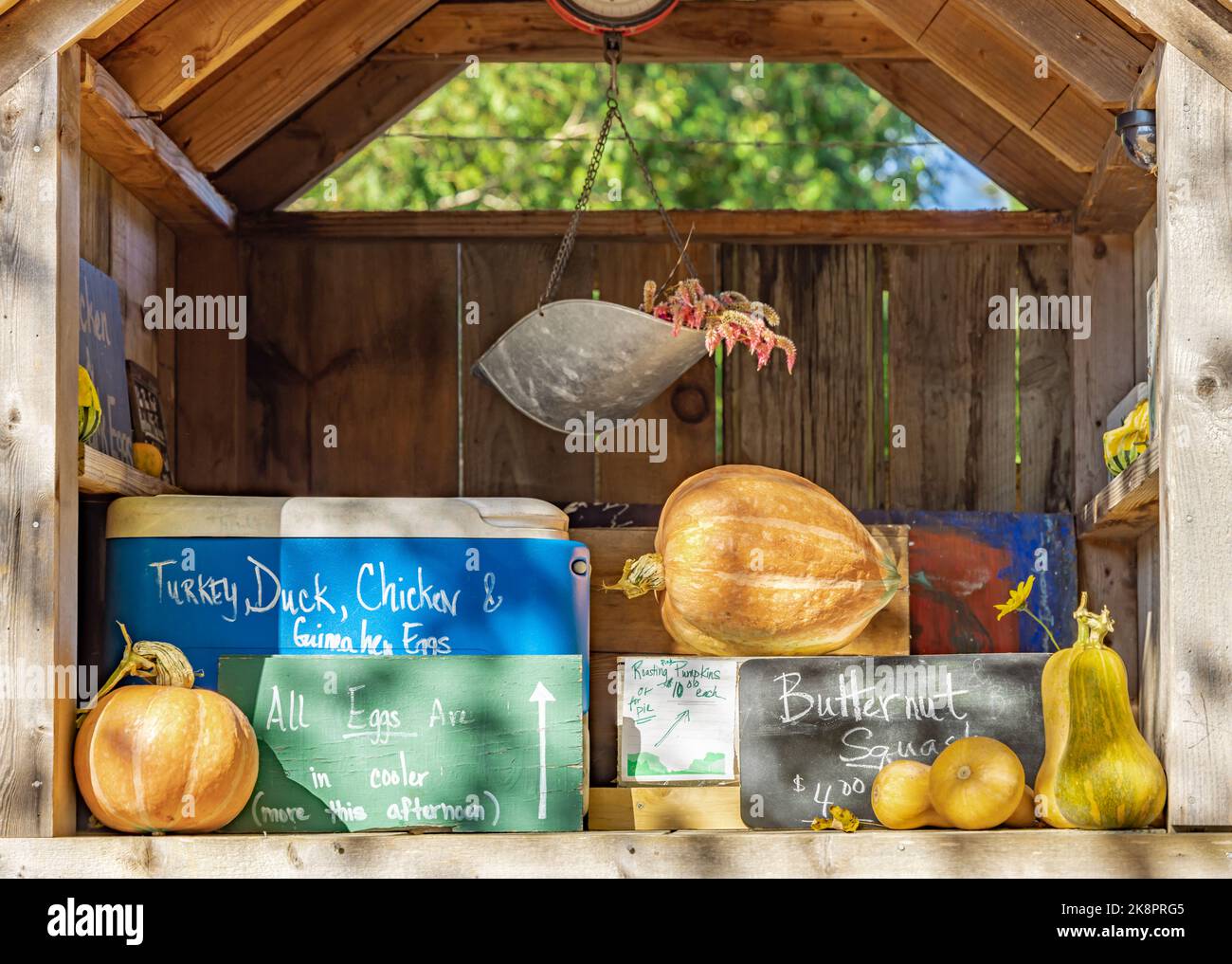 Une petite ferme se trouve sur le côté de la route à Springs Banque D'Images