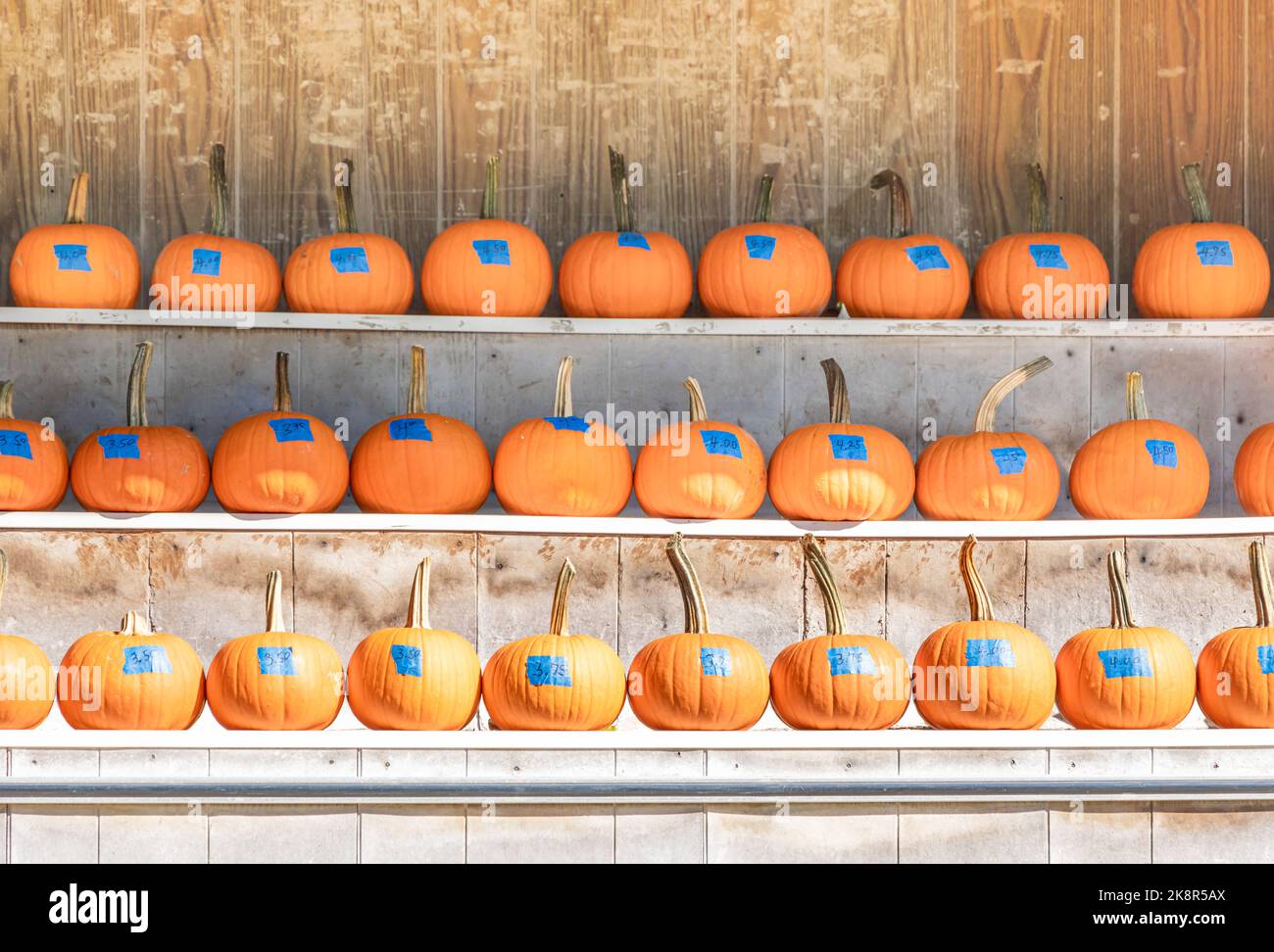 Citrouilles en vente sur un stand de ferme Shelter Island Banque D'Images