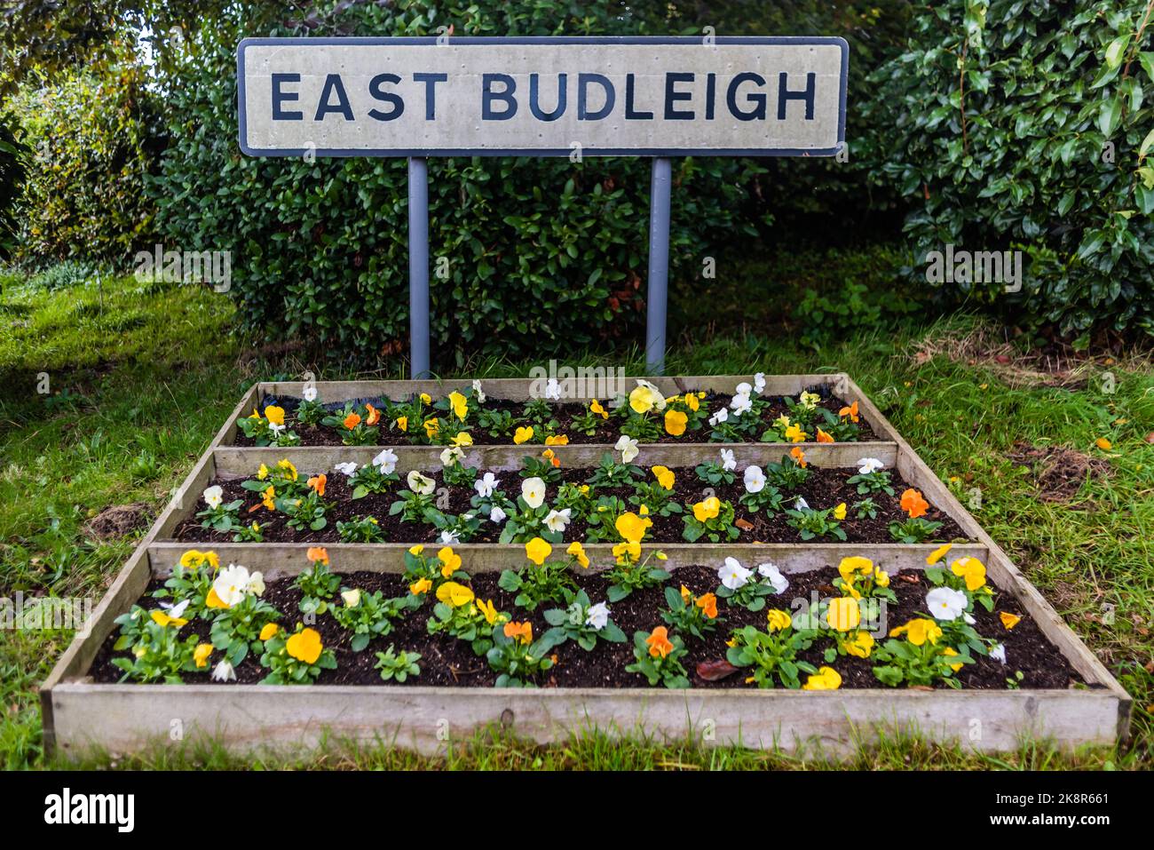 East Budleigh à Bloom. Semez l'automne. Banque D'Images