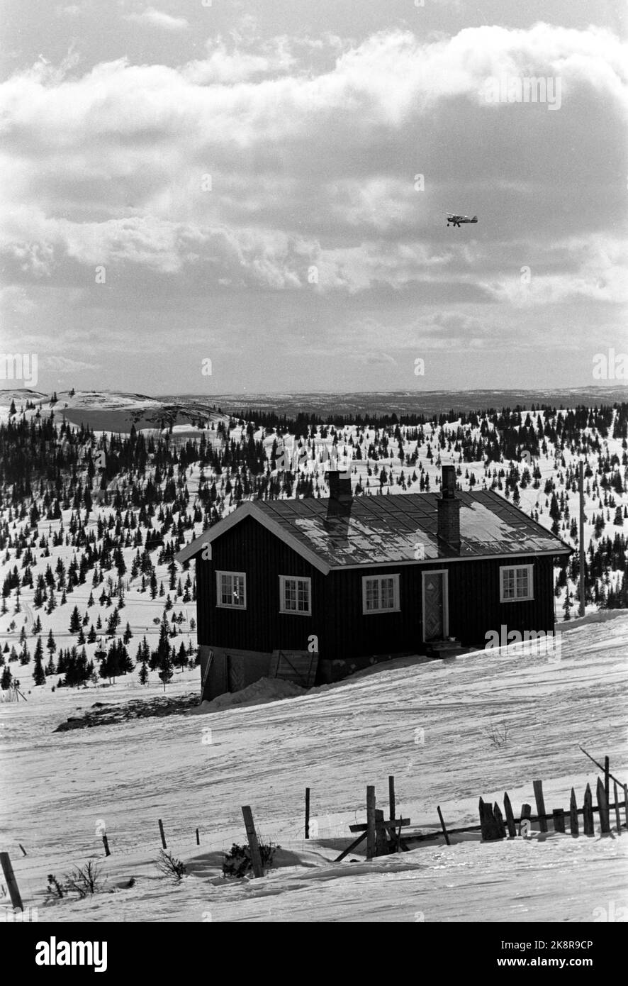 Golsfjellet, Pâques 1962: Huit mille prend soin. La Croix-Rouge est prête dans la montagne de Pâques. Lorsque l'accident est en dehors, la Croix-Rouge peut demander des avions, des hélicoptères, des traîneaux à chiens, des ambulances et des équipages auxiliaires. Ici survolez la montagne. Chalet. Photo: Bjørn Bjørnsen / actuel / NTBSCANPIX. Banque D'Images