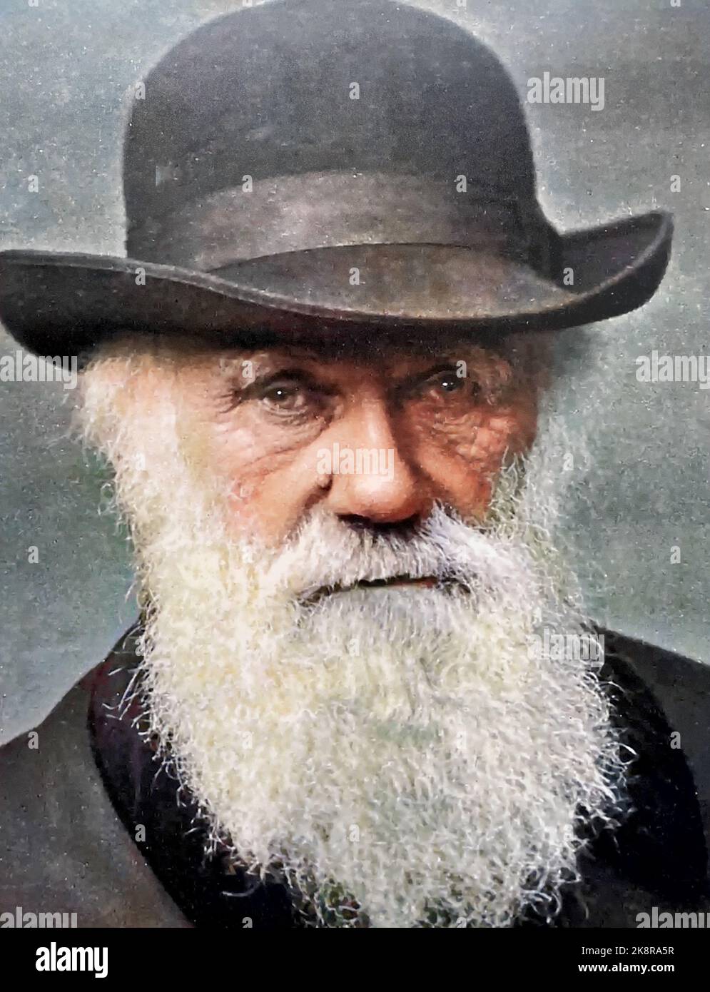 CHARLES DARWIN (1809-1882) naturaliste et biologiste anglais Banque D'Images