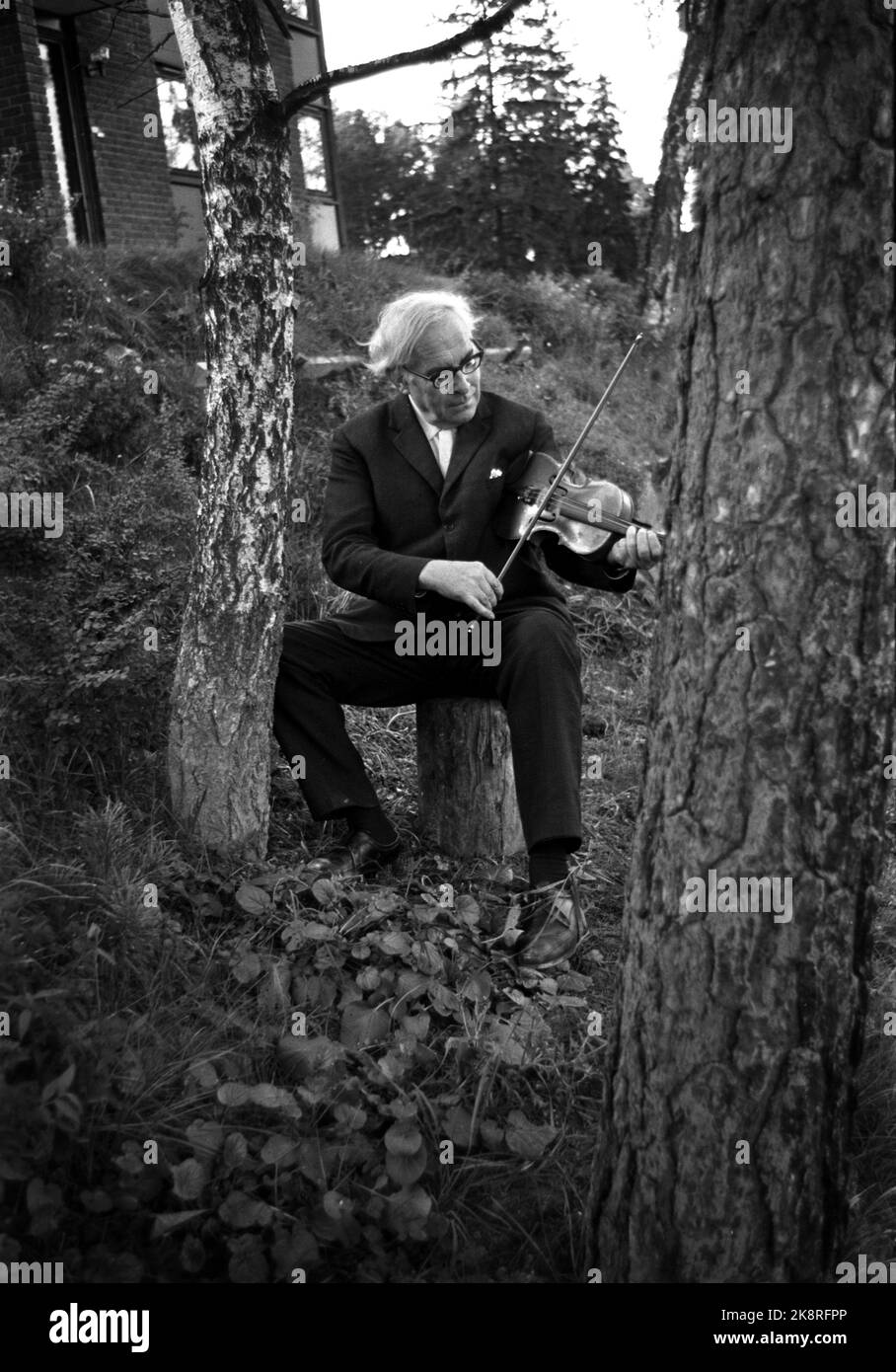 196811. L'artiste Kaare Espolin Johnson voulait devenir musicien, mais a commencé trop tard. Au lieu de cela, il dessine, mais il traite toujours à la fois le violon et le piano. Ici, nous le voyons jouer du violon. Photo: Ivar Aaserud, courant / NTB Banque D'Images