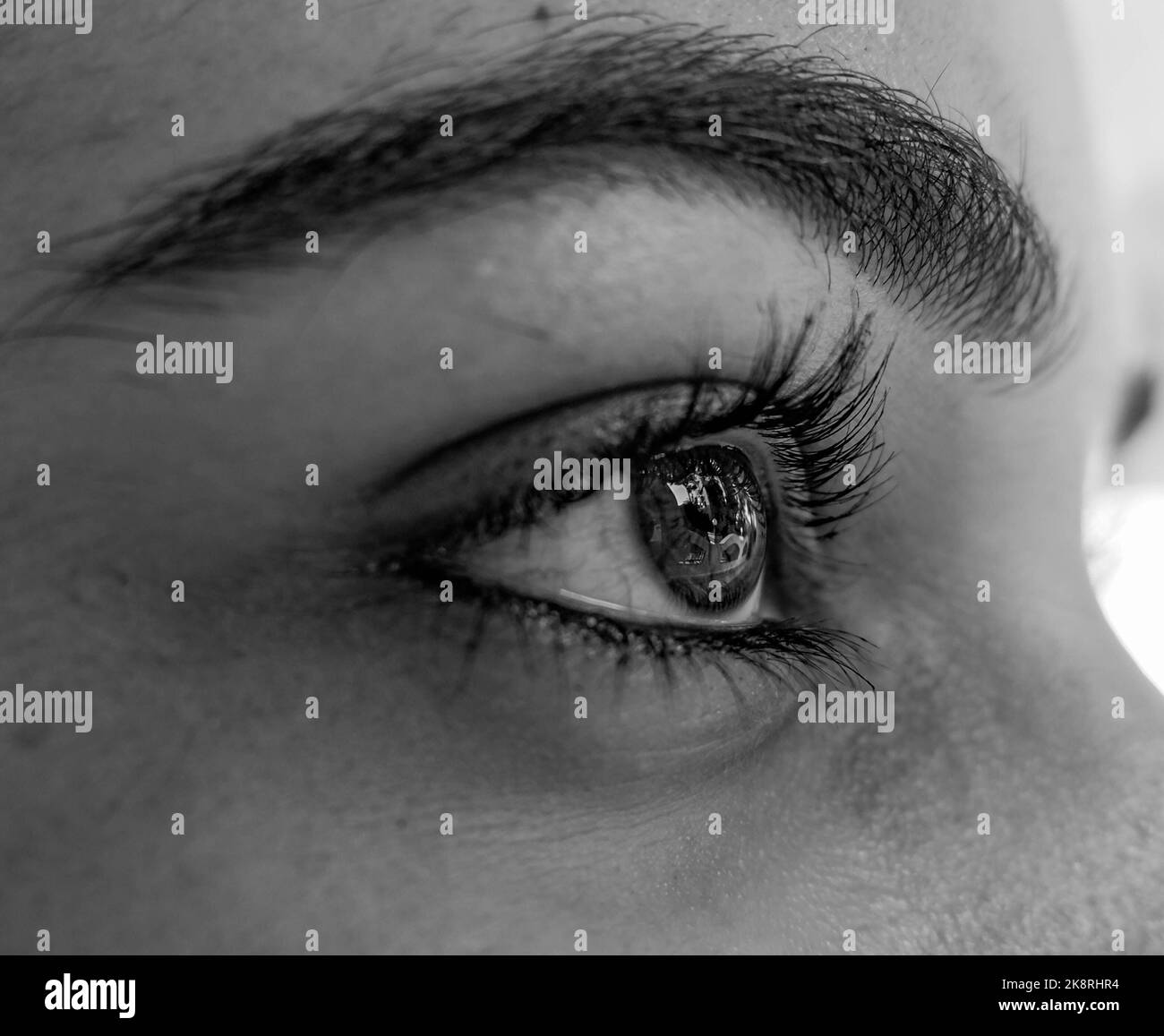 Gros plan en niveaux de gris de l'œil d'une fille regardant vers l'avant Banque D'Images