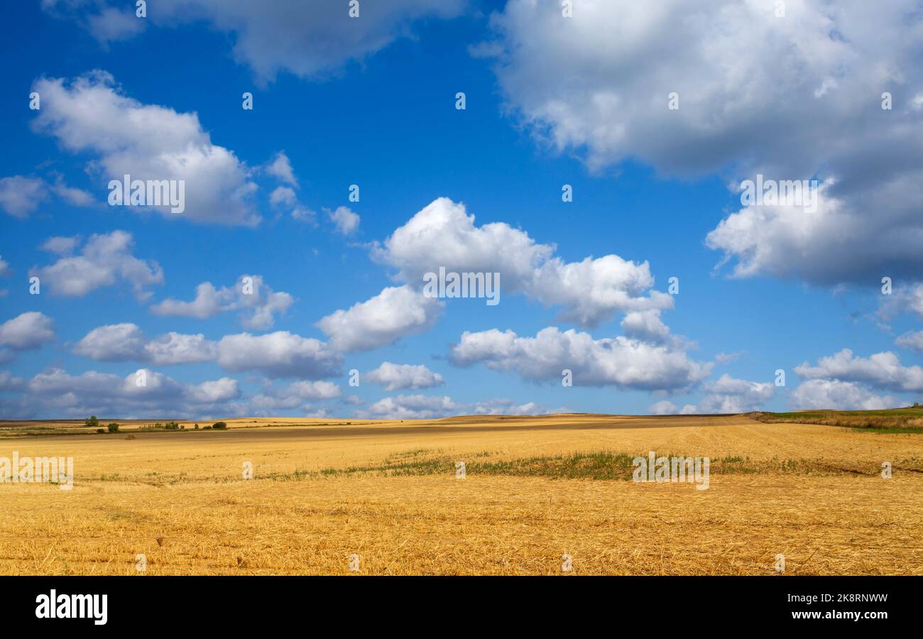 Vue sur un champ de culture dans le nord de l'Espagne Banque D'Images