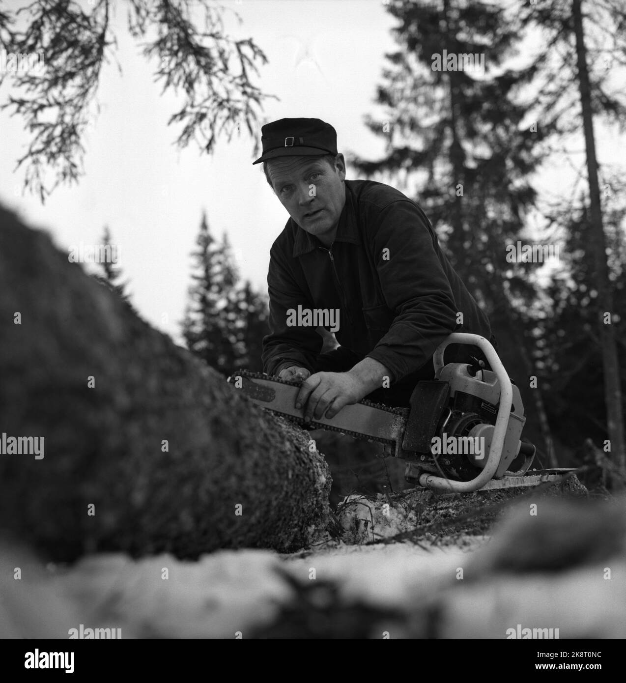 Eidskog février 1965. L'auteur, le parolier et l'enregistreur Hans Børli. En travaillant avec des tronçonneuses dans la forêt. Photo: Ivar Aaserud / courant / NTB Banque D'Images