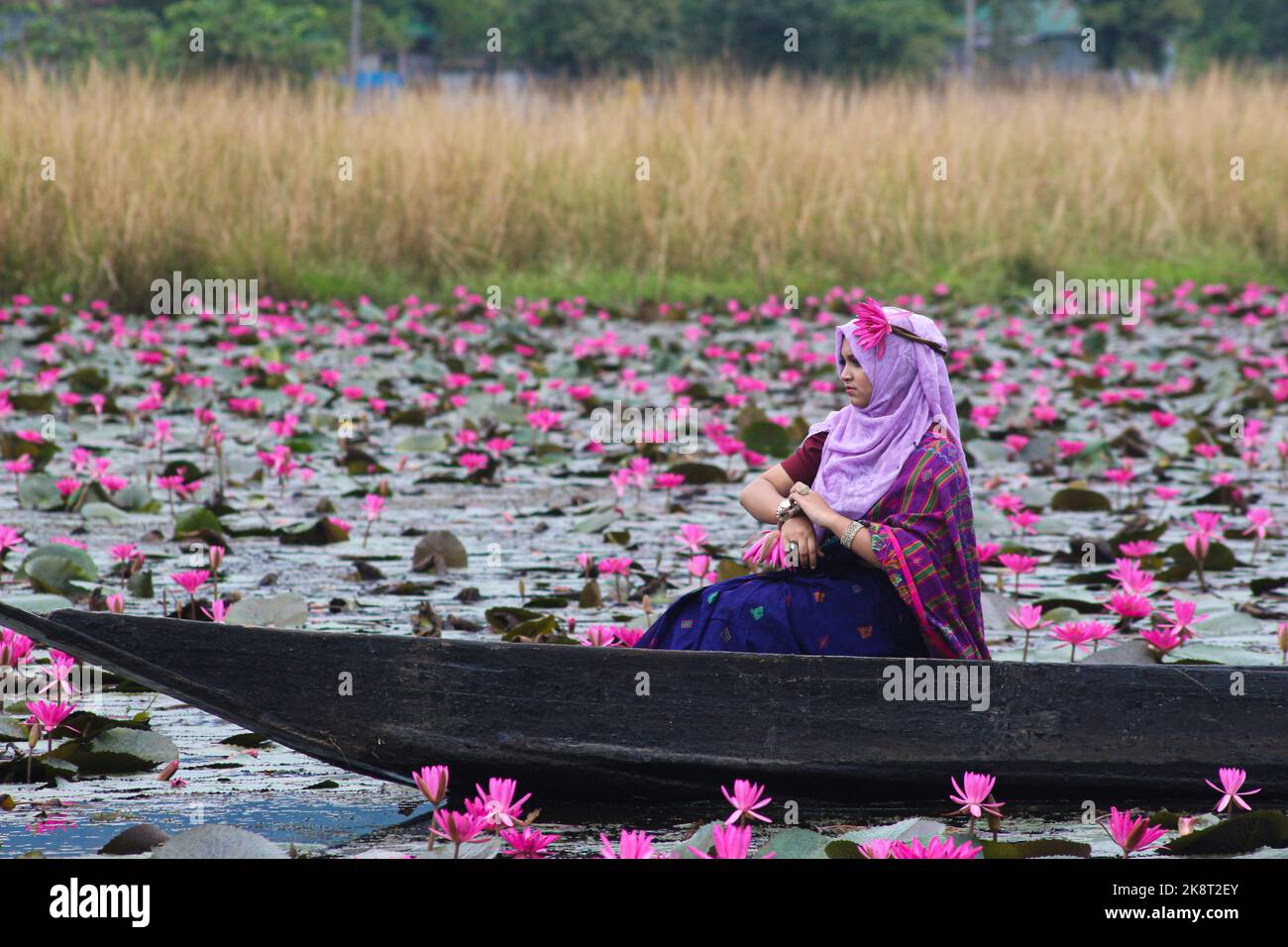 Sylhet, Bangladesh. 24th octobre 2022. 23 octobre 2022, Sylhet, Bangladesh : les visiteurs qui apprécient le bateau pendant la journée découverte à Jaintapur Dibir Hor de Sylhet, tandis que la tempête cyclonique Sitrang provoque de la pluie à Dhaka et dans d'autres parties du pays. Dibir Haor est connu comme Royaume de Shabla pour les voyageurs. Ici, au début du mois bengali d'Hemanta, de nombreuses fleurs rouges de Shabla ont fleuri dans ce Haor qui, sur la rive des collines de Meghalaya. Sur 23 octobre 2022 à Sylhet, Bangladesh. (Photo de MD Rafayat Haque Khan/ Groupe Eyepix/Sipa USA) crédit: SIPA USA/Alay Live News Banque D'Images