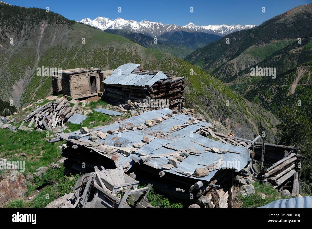 Maisons traditionnelles sur plateau dans le plateau Aşağı Sakora (Aşağı Sakora Yaylası) dans le district de Yusufeli dans la province d'Artvin. Banque D'Images