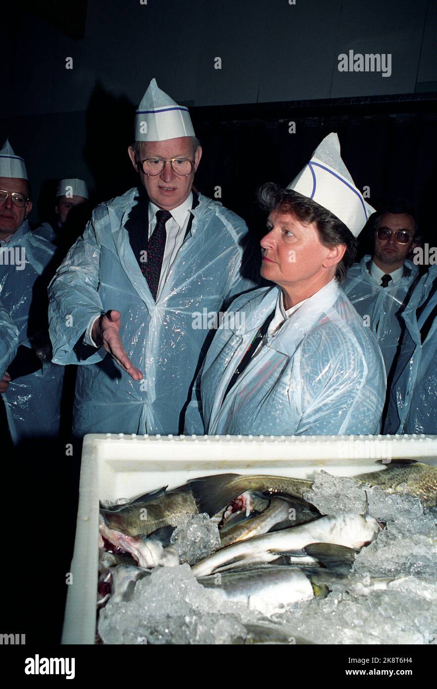 Båtsfjord, Finnmark 19910405. Le vice-président de la Commission européenne, Frans Andriessen, visite Finnmark avec le Premier ministre Gro Harlem Brundtland. ANDRIESSEN est responsable des négociations entre la ce et les pays de l'AELE sur un accord EEE. Sur la photo, ils visitent une société de transformation du poisson à Båtsfjord. Photo: Bjørn Sigurdsøn / NTB Banque D'Images