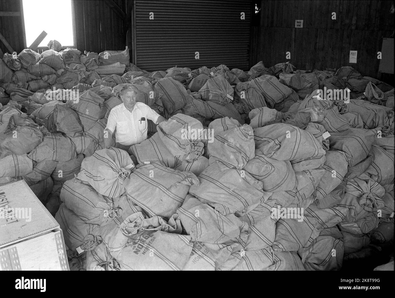 Oslo 19840529 grève postale: Le directeur de poste Rolf Røed-Johansen avec une partie du poste qui s'est accumulé à Oslo pendant la grève en cours. Photo: Erik Thorberg / NTB Banque D'Images