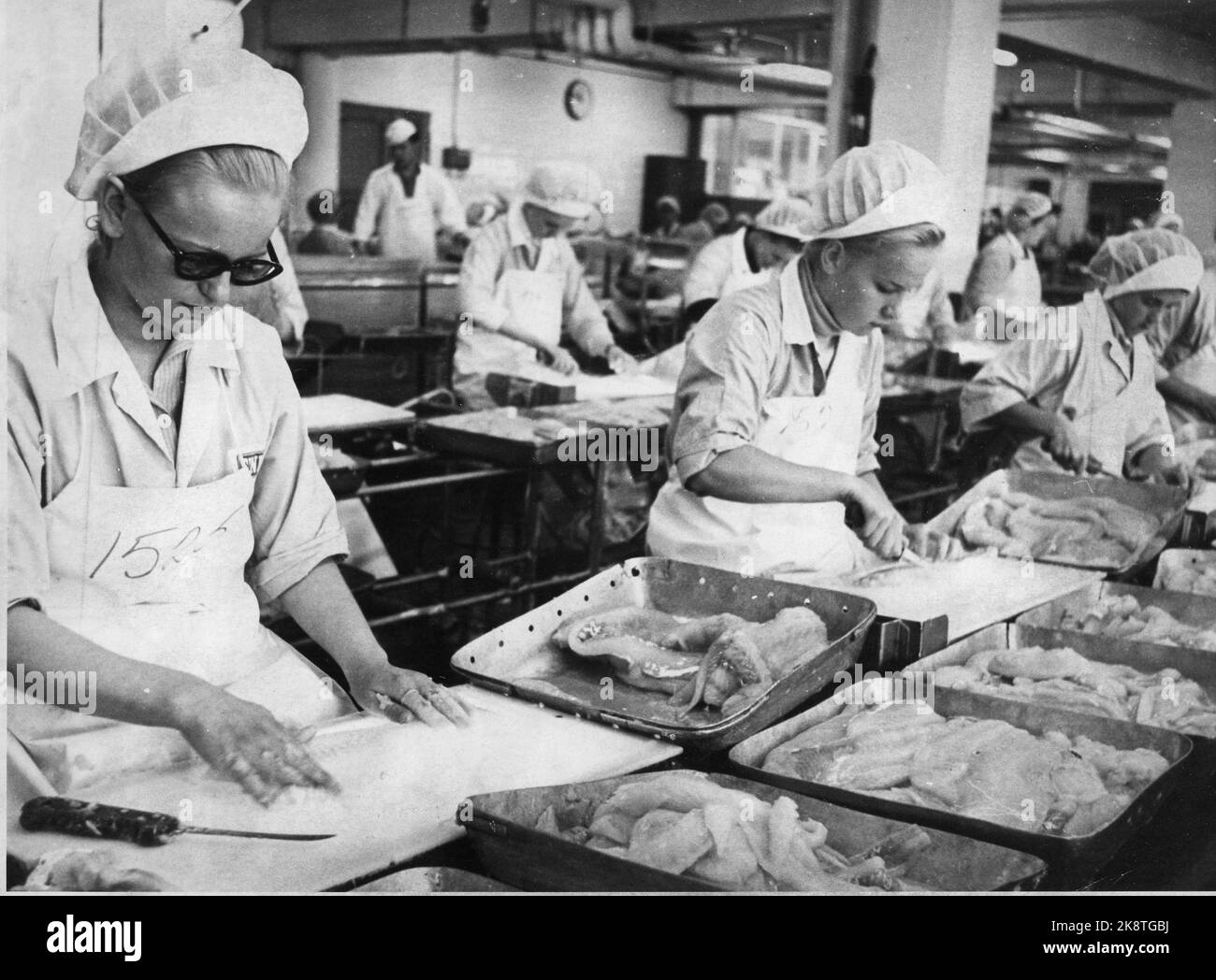 Hammerfest septembre 1967. L'usine de transformation du poisson Findus est l'une des sociétés de base de la ville. Au rayon des filets, 140 femmes travaillent. La moitié d'entre eux sont des immigrants finlandais. Les filets sont placés sur des panneaux de verre lumineux qui facilitent le contrôle. Photo: Sverre A. Børretzen / actuel / NTB Banque D'Images