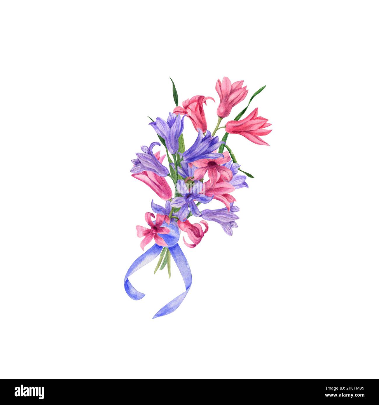 Jacinthe isolée sur fond blanc. Il est parfait pour les cartes de vœux, l'invitation de mariage, l'anniversaire, la Saint-Valentin et la carte de fête des mères, l'affiche Banque D'Images