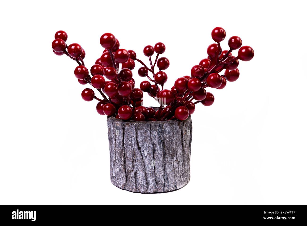Un gros plan de vase en bois avec le viburnum rowan rouge. Le vase en porcelaine a une surface cannelée. Le vase avec un bouquet est isolé contre la ba blanche Banque D'Images
