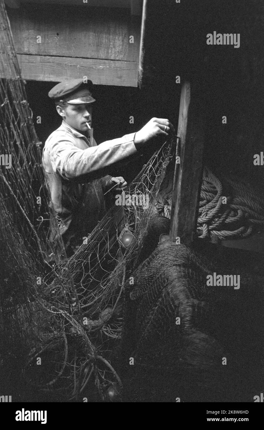 Oslofjord 19690531 sur REK après crevettes. Sur la pêche à la crevette avec le bateau aigle de mer. L'équipage est de deux hommes. Le skipper Reidar Hauge Pedersen et son fils Egil. Egil avec la cigarette dans la bouche. Photo: Aage Storløkken / actuel / NTB Banque D'Images