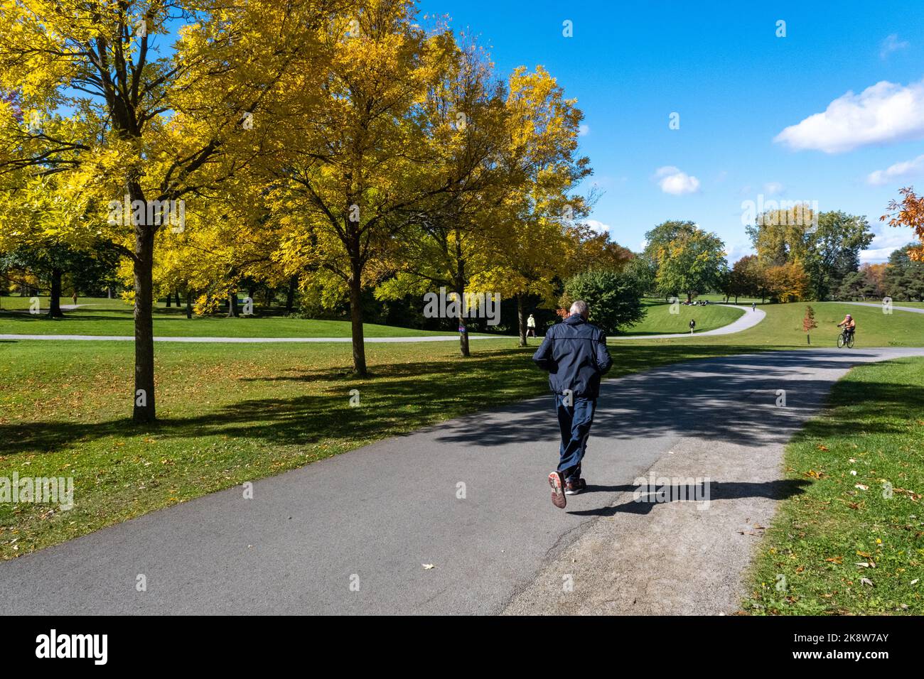 Montréal, Canada - 10 octobre 2022 : homme qui court dans le parc Maisonneuve en automne Banque D'Images