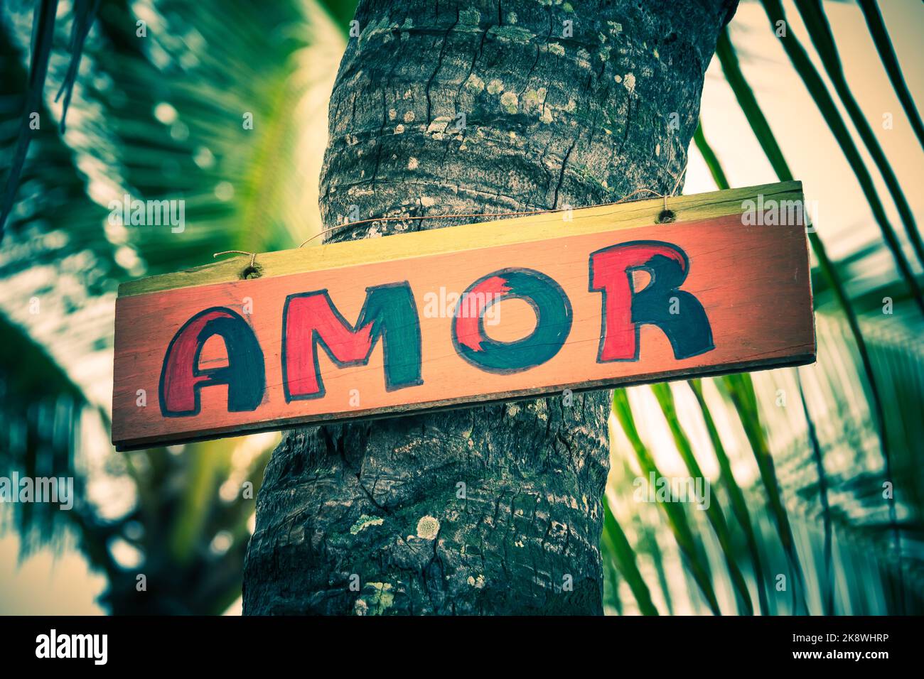 Signe sur l'arbre écrit le mot amour en portugais Banque D'Images