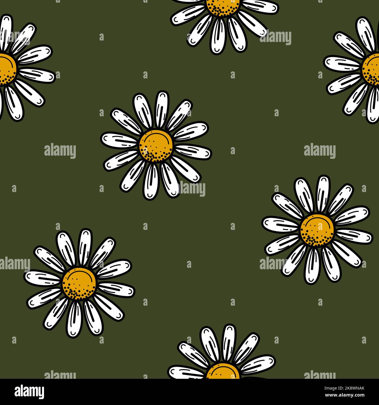 Contour blanc fleurs pâquerettes isolées sur fond vert. Joli motif sans coutures. Illustration graphique à plat dessinée à la main. Fleur de camomille texturée Banque D'Images